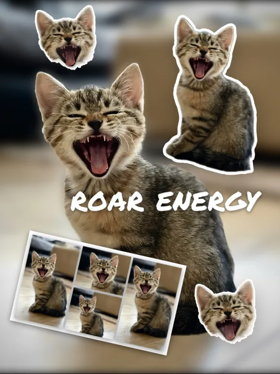 Roar Energy: a yawning kitten, a collage and a heart sticker